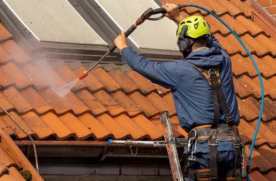 Démoussage et hydrofuge de toiture à Pougny